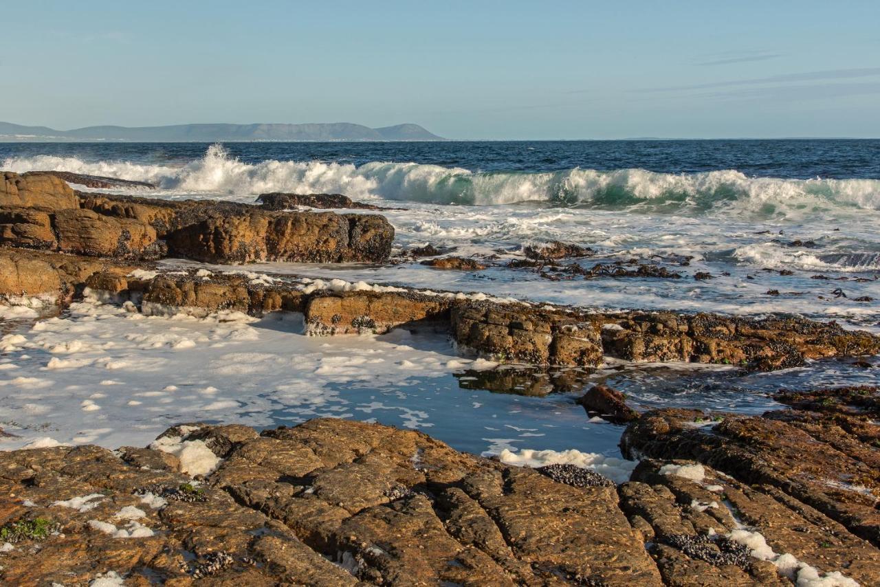 Hermanus Haven, Entire Home, On The Sea, Private Pool, Secure Eksteriør billede